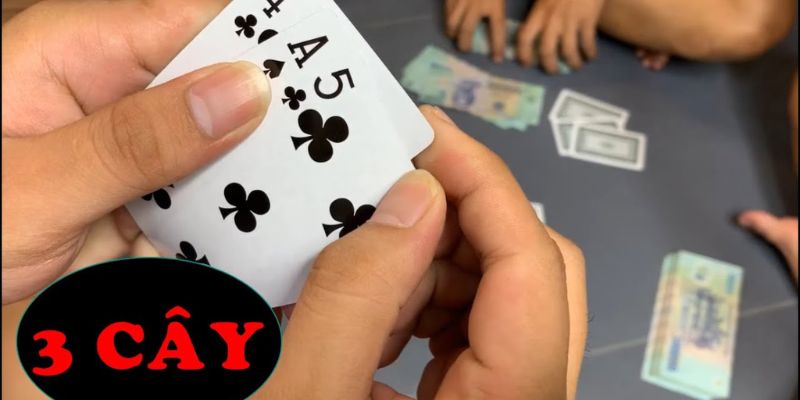 Hiểu biết cơ bản về luật chơi bài ba cây online