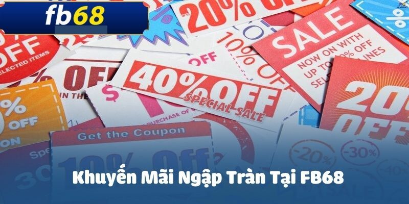 Nhà cái thường xuyên cập nhật các chương trình khuyến mãi