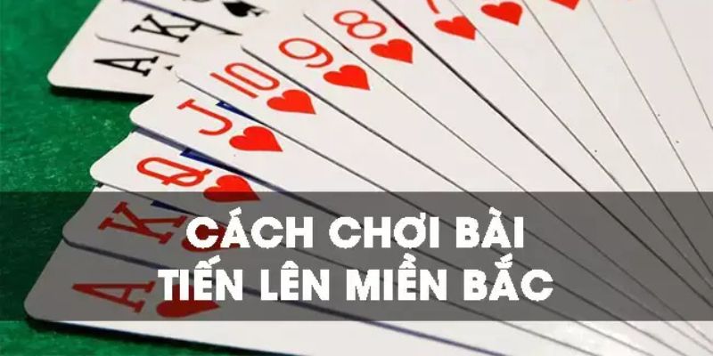 Hướng dẫn cách chơi tiến lên miền Bắc dễ hiểu nhất