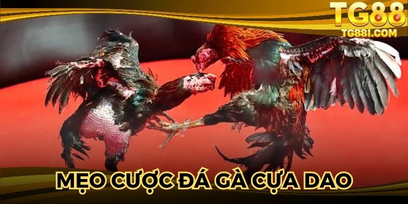 Học hỏi kinh nghiệm bỏ tiền thắng đậm từ chuyên gia 