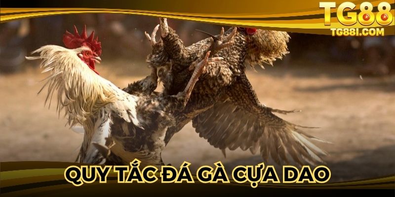 Nắm rõ thời gian thi đấu để không bỏ lỡ phút giây kịch tính 