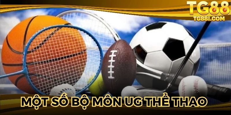 Một số bộ môn UG thể thao được yêu thích 