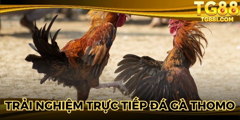 Người chơi sẽ được trải nghiệm video chất lượng cuốn hút 